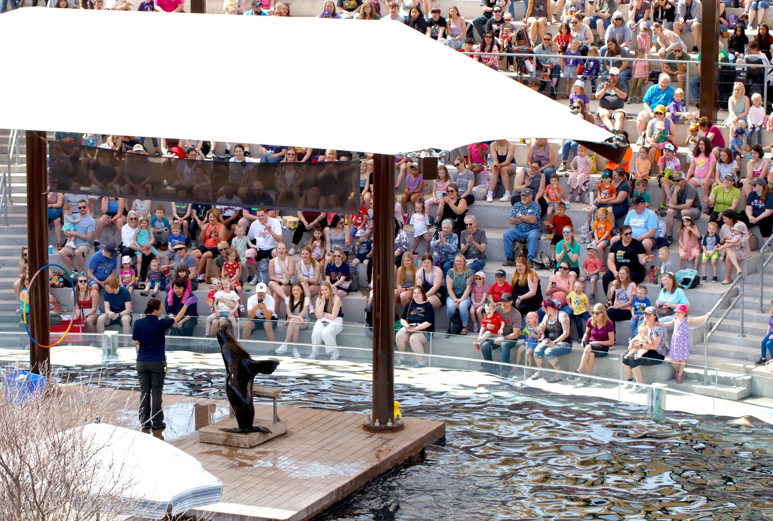 spire-sparky-show-crowd-and-becky-and-subee (002)