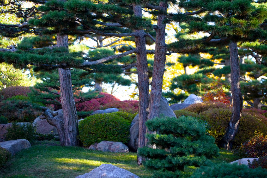 Secrets of the Japanese Garden - Como Friends