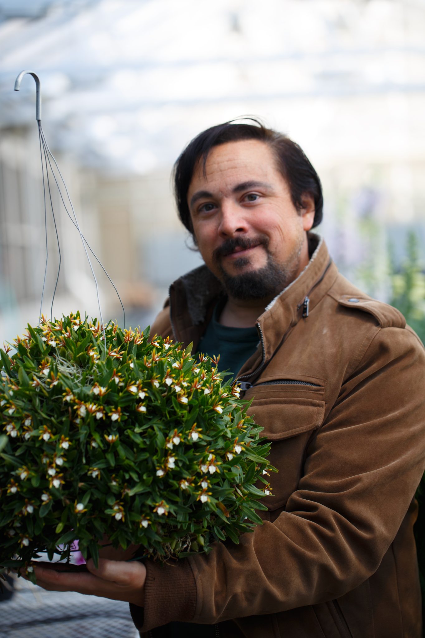 An Orchid Display Designed to Dazzle - Como Friends